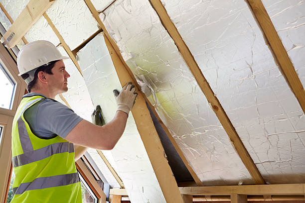 Best Insulation Materials and Products in Edwardsburg, MI