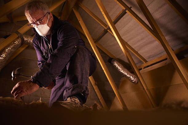 Best Insulation Materials and Products in Edwardsburg, MI
